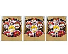 画像をギャラリービューアに読み込む, りんごで作ったちょこっとギフト 3個セット