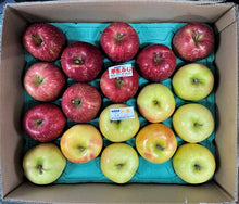 画像をギャラリービューアに読み込む, りんご贈答用 5kg