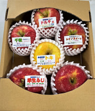 画像をギャラリービューアに読み込む, りんごで作ったちょこっとギフト 6個セット