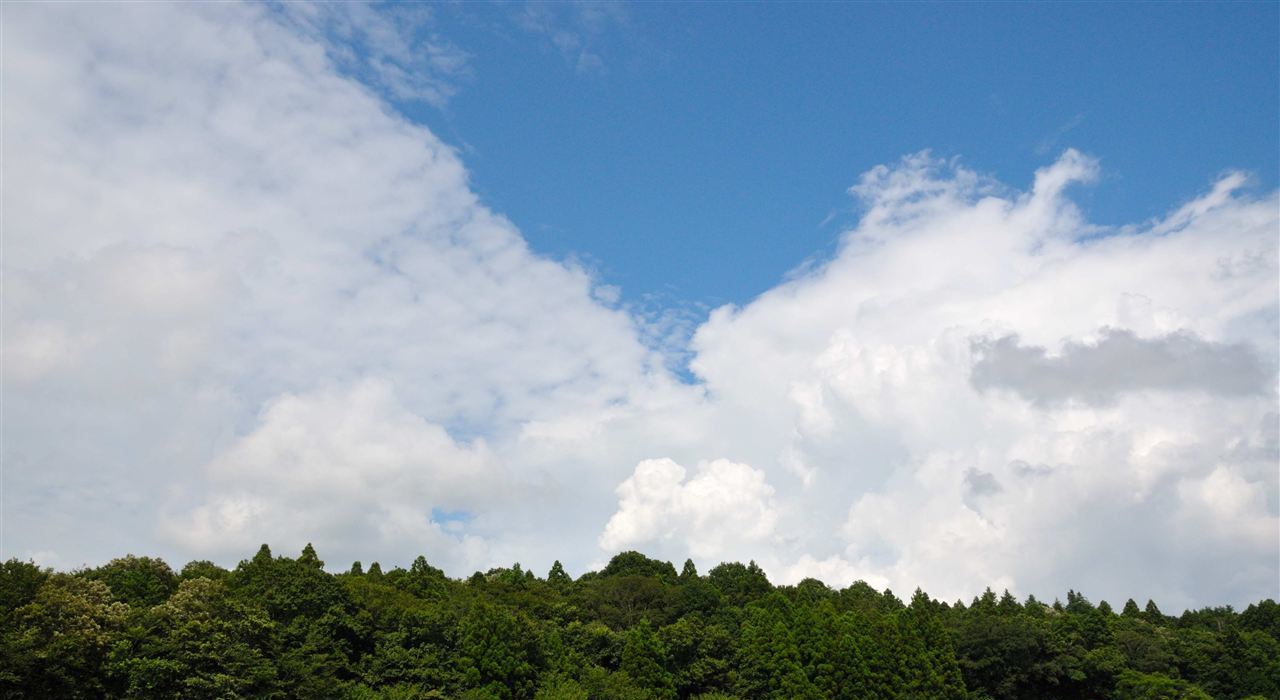 青森観光りんご園から望む、緑の木々と青空